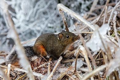 让中国创意走向全球 索尼互娱“中国之星计划”第三期第二批入选游戏公布 